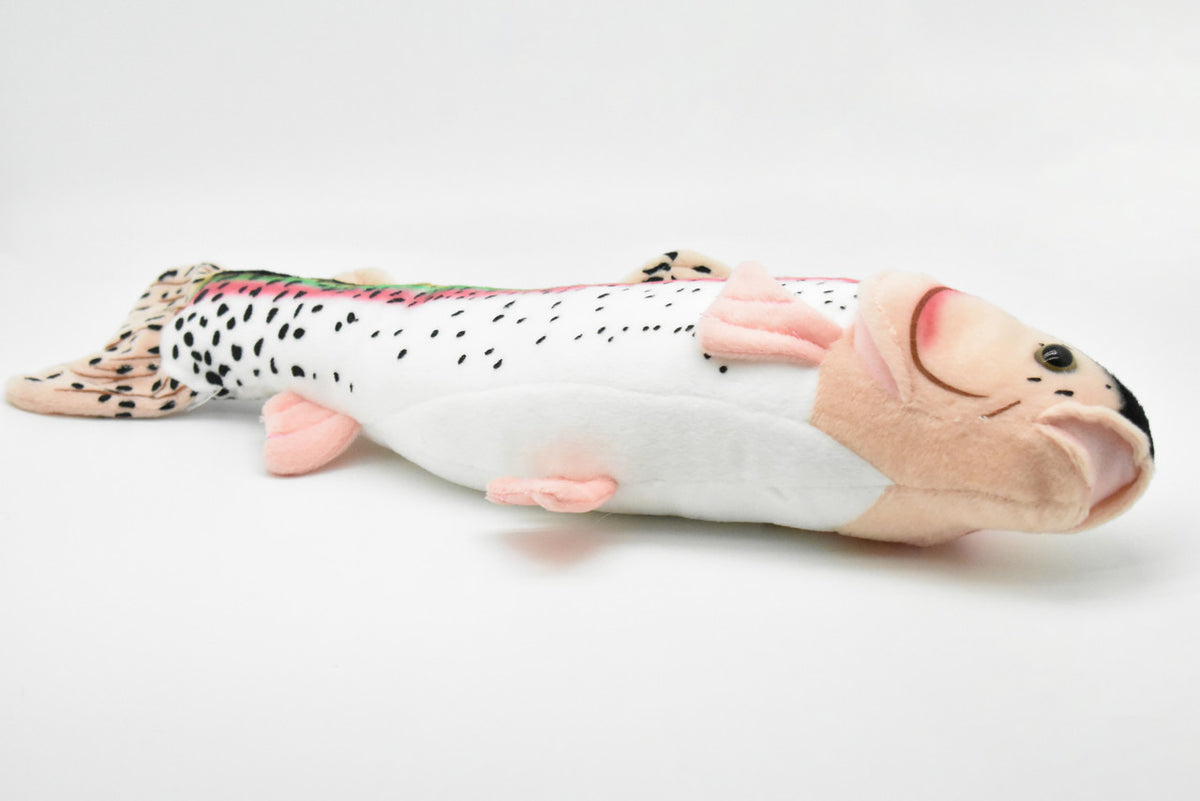 Rainbow Trout Plush Toy, Realistic Stuffed Animal, Soft Plush Fish, Stuffed Fish, Educational, Toy, Kids, Gift,      17"       F2005 BB55