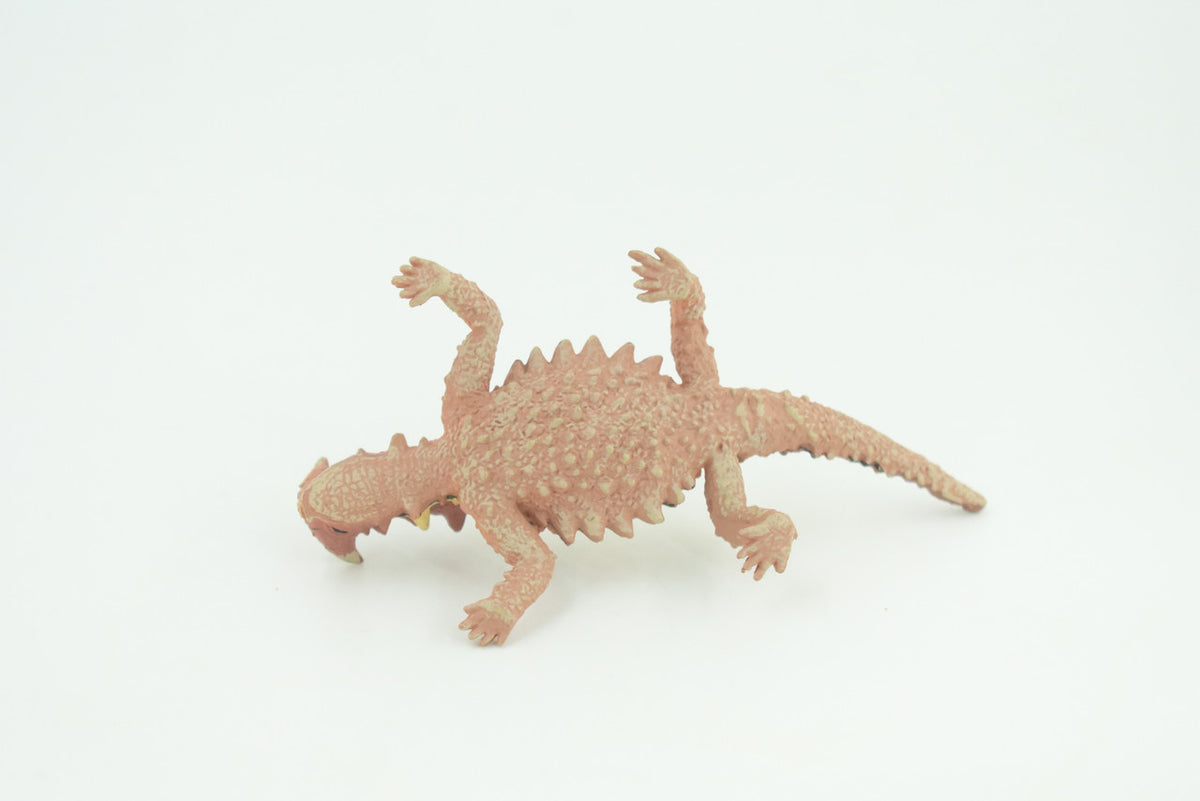 Thorny Dragon, Devil Lizard, Museum Quality, Educational, Hand Painted, Rubber Reptile, Toys,  Kids, Gift,     4 1/2 Inches.   CH730 BB184