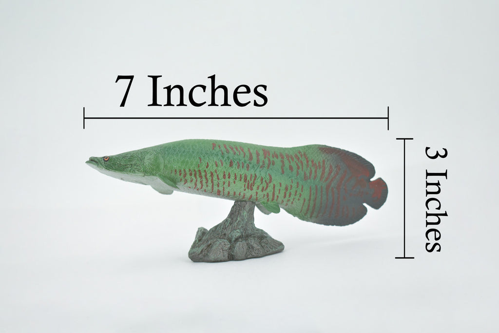 Arapaima, Pirarucu, or Paiche, Museum Quality, Hand Painted, Rubber Fish, Realistic Figure, Model, Replica, Toy, Kids, Educational, Gift,      7 "   CH501 BB155