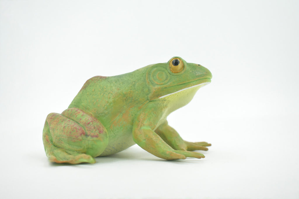 Frog, Bullfrog, Green, Museum Quality, Hand Painted, Rubber, Asia, Animal, Realistic, Figure, Model, Replica, Toy, Kids, Educational, Gift,      5"       CH605 BB165