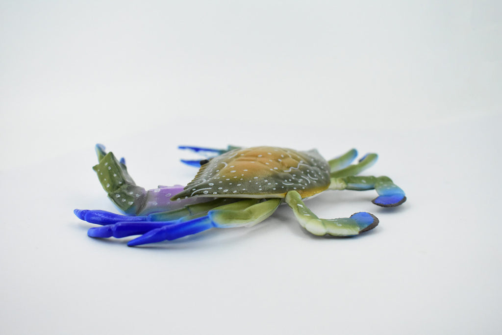 Crab, Blue Crab, Museum Quality, Rubber Crustacean, Hand Painted, Realistic Toy Figure, Model, Replica, Kids, Educational, Gift,       6"       CH161 BB111