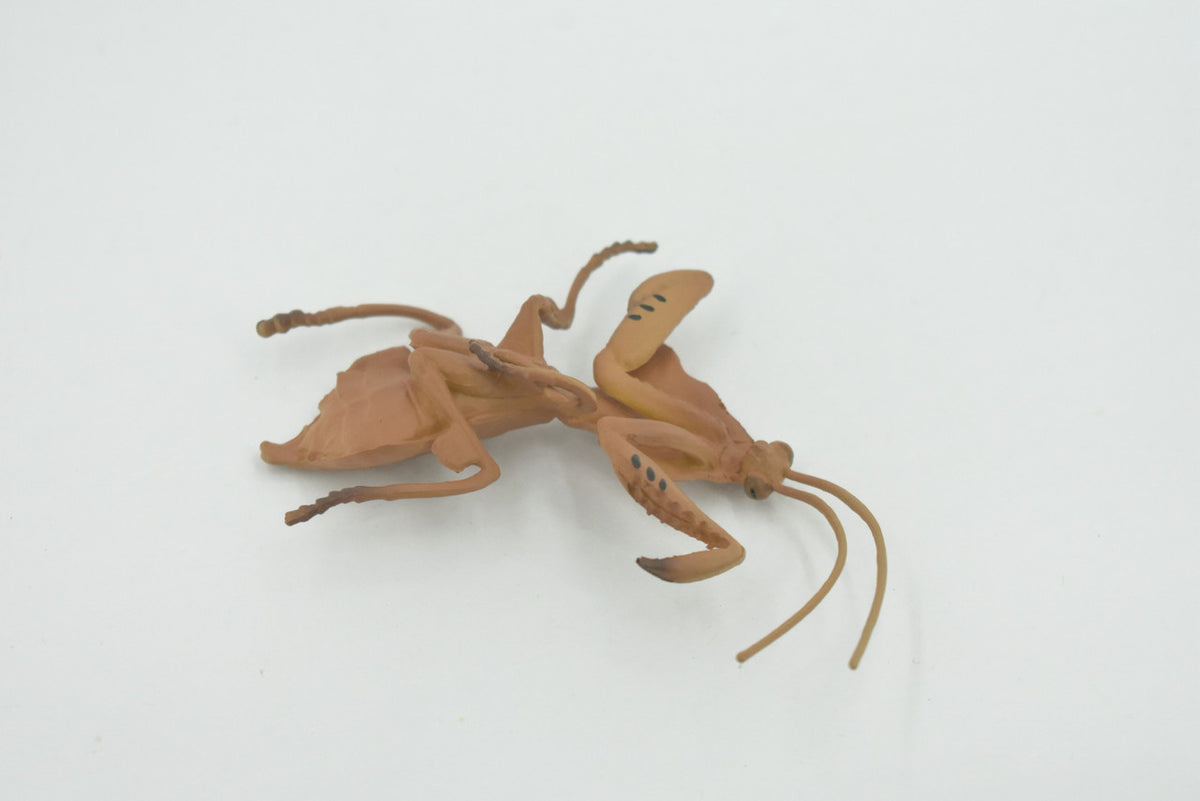 Praying Mantis, Deroplatys, Dead leaf mantis, High Quality, Rubber Insect, Educational, Realistic, Figure, Replica, Toy, Kids, Educational, Gift,      3"     CH639 BB168