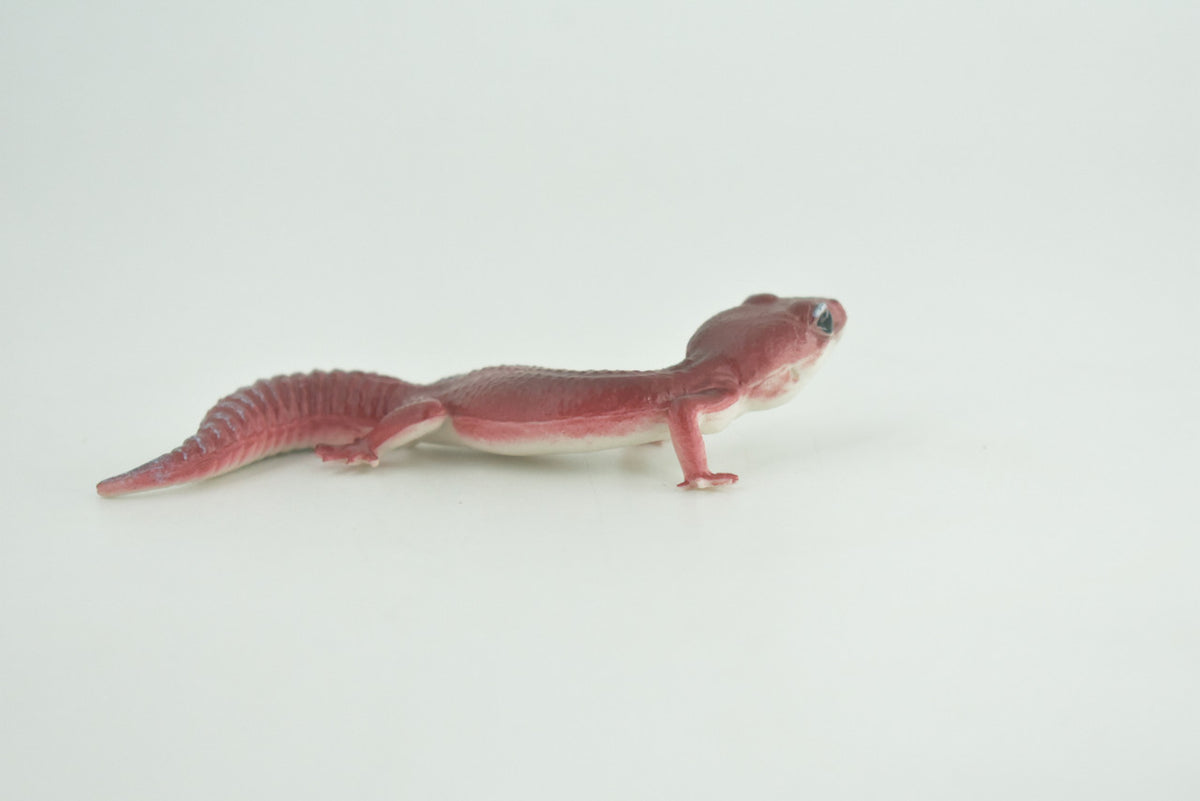 Gecko, Gargoyle gecko, Museum Quality, Educational, Hand Painted, Rubber Lizard, Peking Gecko, Realistic Reptile, Diorama, Toy, Kids, Gift,   4 Inches.  CH1020 BB218