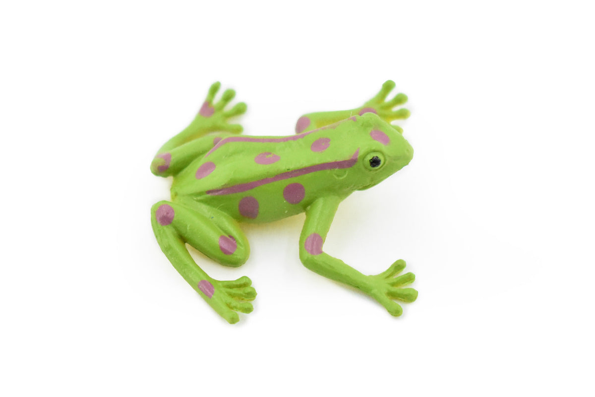Frog, Green Spotted Frog, Very Nice Plastic Design, Educational, Diorama, Realistic Figure, Lifelike, Replica, Toy, Kids,  1 1/2 Inches. 