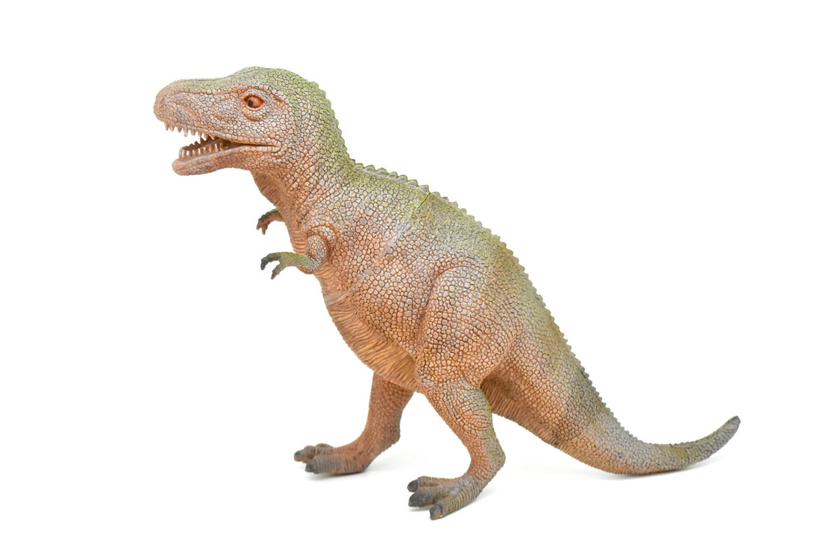 Tyrannosaurus Toy, T- Rex Dinosaur, Very Nice Plastic Replica, 14"  CWG16 BB38