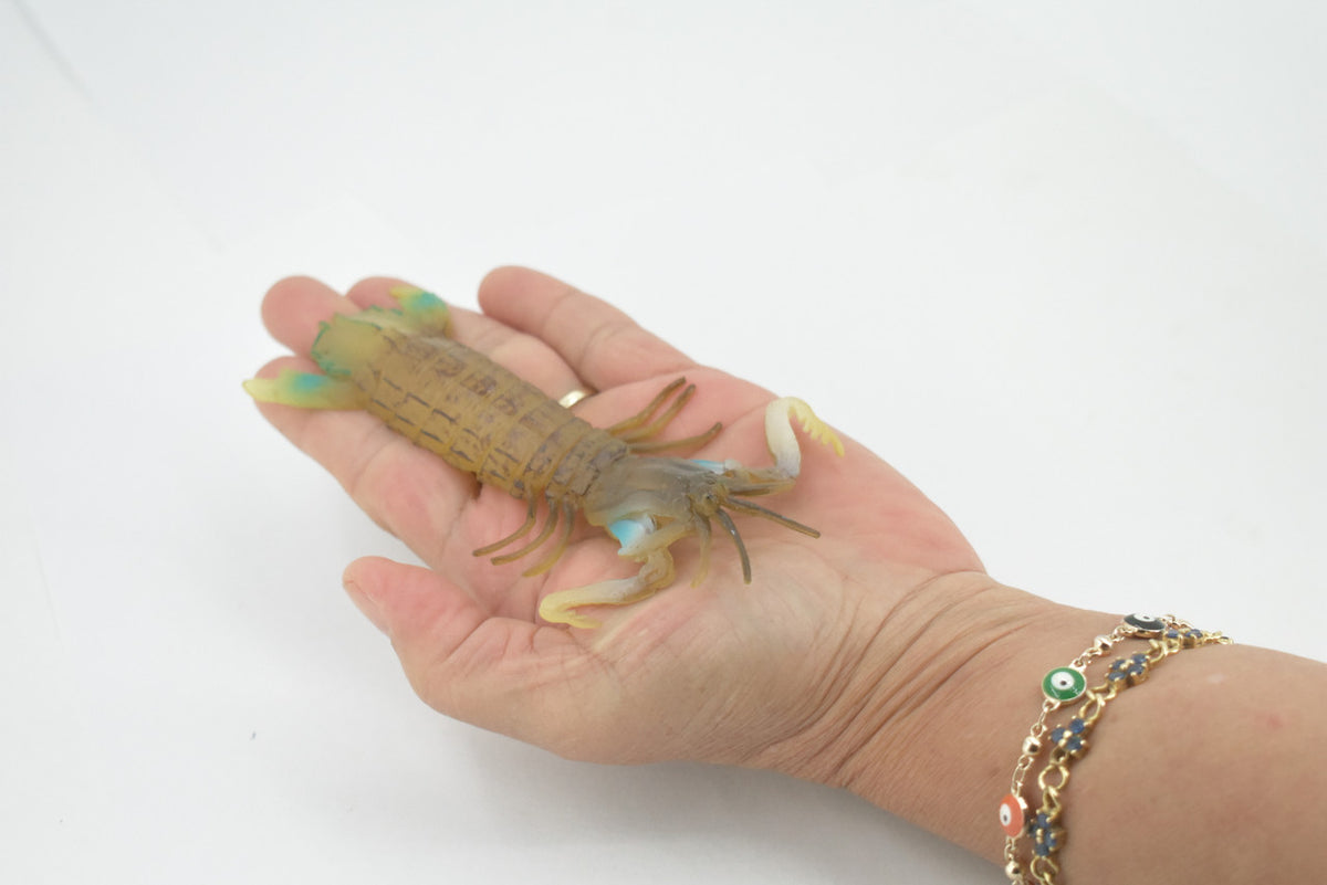 Mantis Shrimp, Marine Crustaceans, Museum Quality, Educational, Hand Painted, High Quality Rubber, Lifelike Design, Diorama Model, Kids,  5 Inches. 