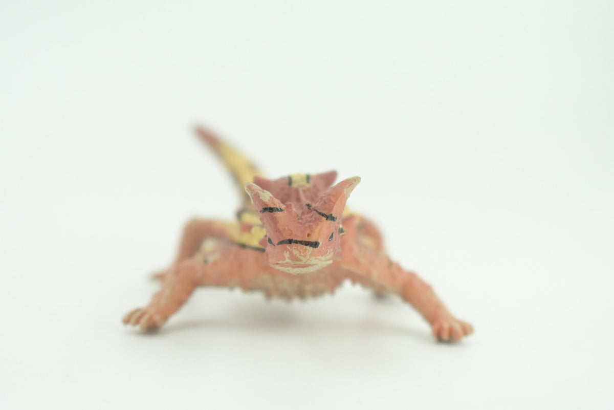 Thorny Dragon, Devil Lizard, Museum Quality, Educational, Hand Painted, Rubber Reptile, Toys,  Kids, Gift,     4 1/2 Inches.   CH730 BB184