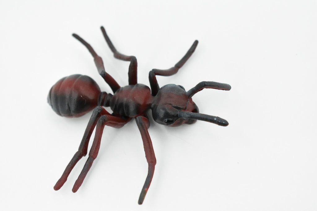 Red Fire Ant, Ginger ant, Very Nice Design, Educational, Hand Painted, Realistic Rubber Insect, Toy Figure, Diorama Model, Kids, 3 Inches. 