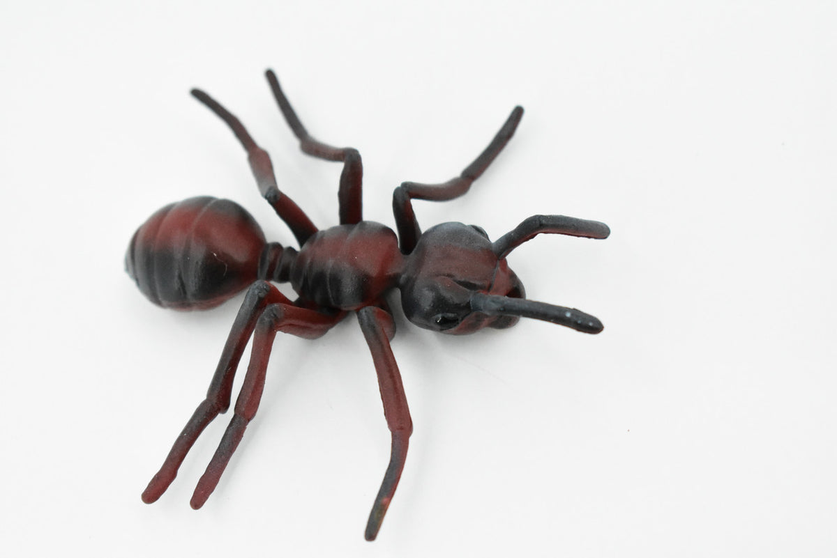 Red Fire Ant, Ginger ant, Very Nice Design, Educational, Hand Painted, Realistic Rubber Insect, Toy Figure, Diorama Model, Kids, 3 Inches. 