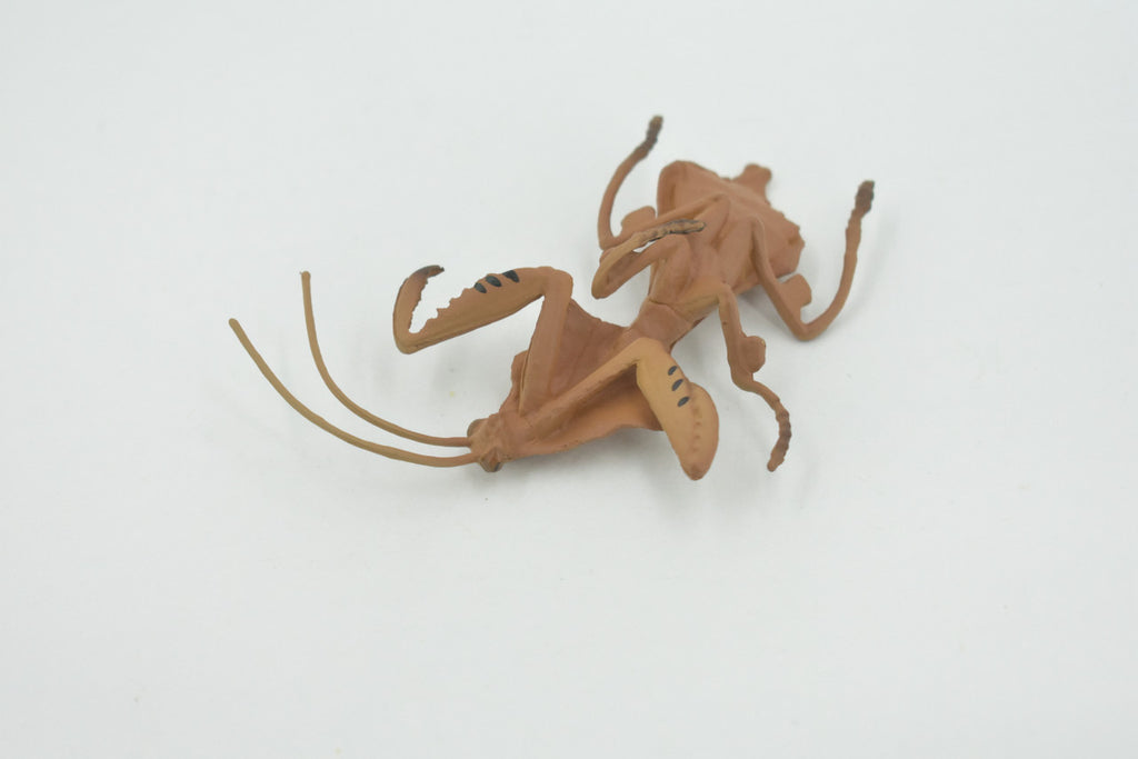 Praying Mantis, Deroplatys, Dead leaf mantis, High Quality, Rubber Insect, Educational, Realistic, Figure, Replica, Toy, Kids, Educational, Gift,      3"     CH639 BB168