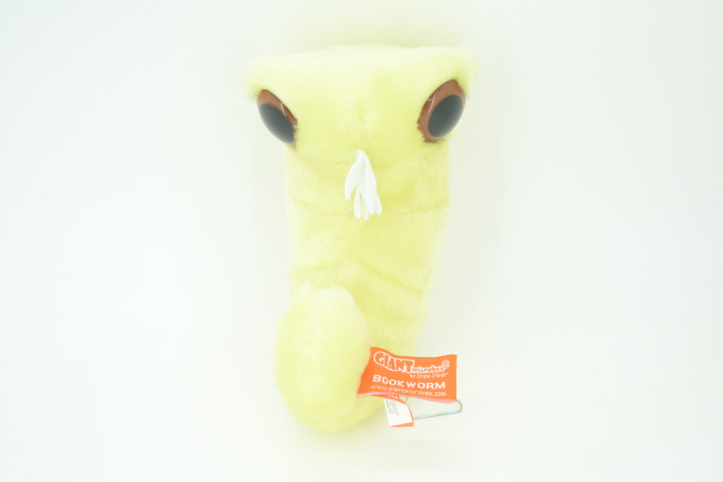 Bookworm, Anobium punctatum, Booklice, Microorganisms Plush Design, Educational, Figure, Replica, Gift,             6"    F1697 B102