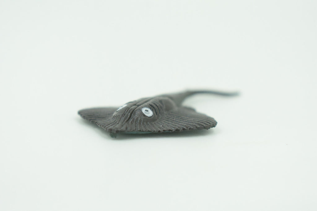 Stingray, Rubber Fish, Realistic Toy Figure, Model, Replica, Kids, Hand Painted, Educational, Gift,    2 3/4"    F596 B34