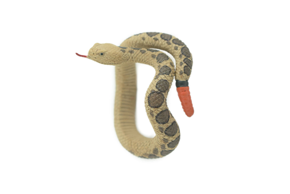 RattleSnake Bracelet, Snake Wrist Band, Plastic, Reptile, Educational, Realistic, Beautiful Design, Figure, Lifelike, Replica, Gift, 3" RI68 B663