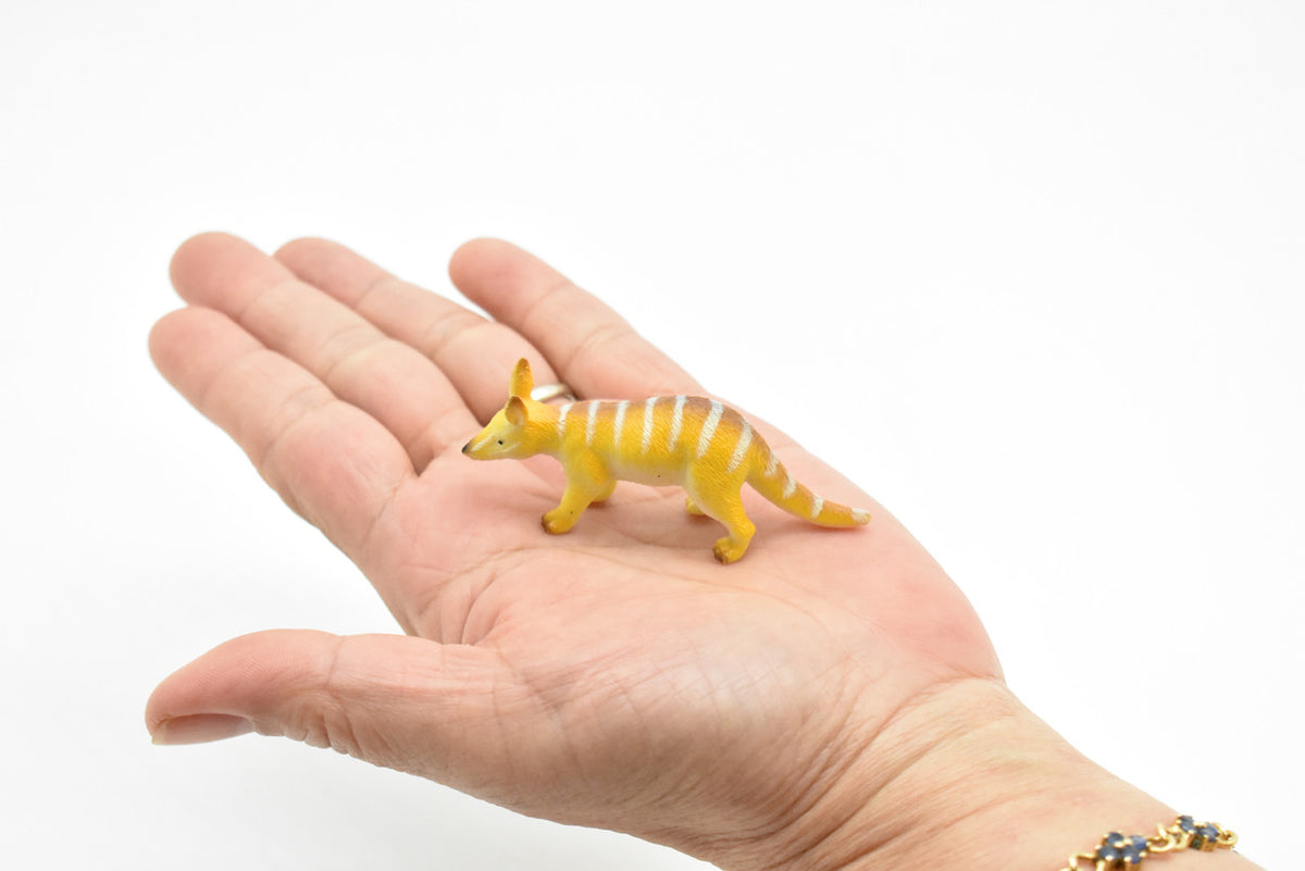 Numbat, Walpurti, Australian marsupial, Hand Painted, Very Nice Plastic Design, Animal Figure, Educational, Lifelike, Diorama Model, Toy, Kids, 3 Inches.  