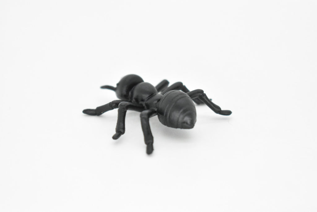 Ant, Black,  Very Nice Plastic Reproduction    1 1/2"   F6090 B381