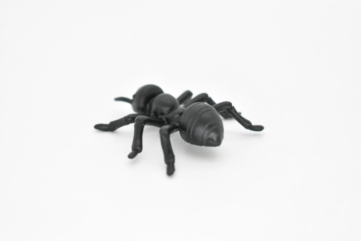 Ant, Black,  Very Nice Plastic Reproduction    1 1/2"   F6090 B381