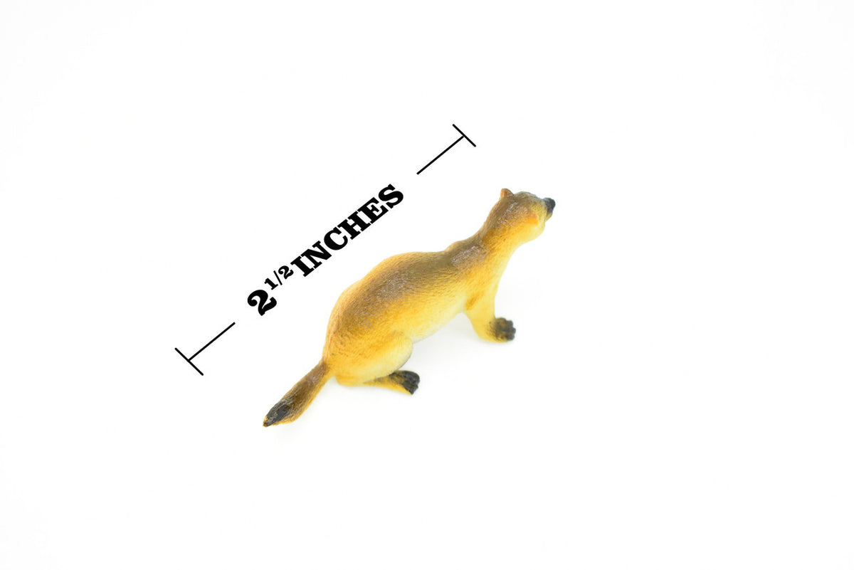 Mongoose, ichneumon, cusimanse, Very Nice Plastic Design, African Animal Figure, Educational, Figure, Lifelike, Diorama Model, Figurine, Toy, Kids,  2 1/2 Inches.  