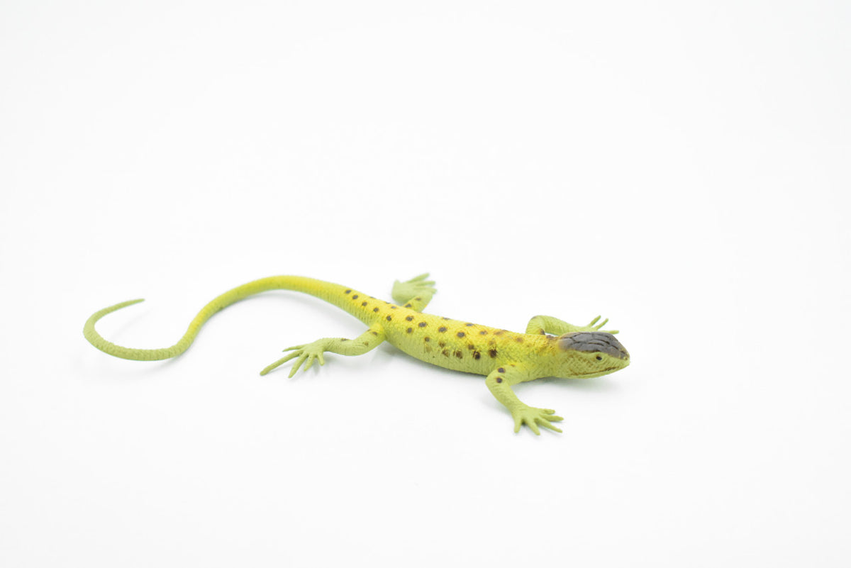 Lizard, Arizona Night Lizard, Rubber, Reptile Toy, Realistic Figure, Model, Replica, Kids, Educational, Gift,       5"         F6110 BB381