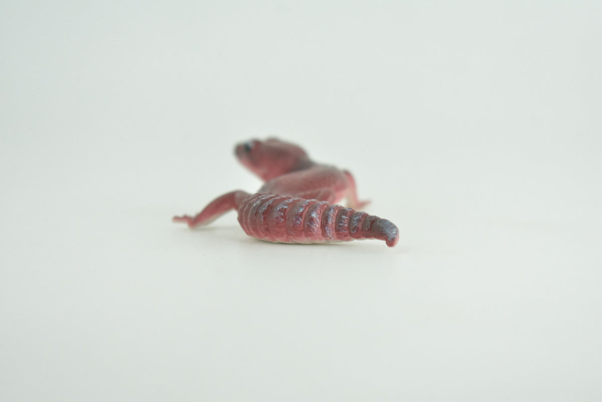 Gecko, Gargoyle gecko, Museum Quality, Educational, Hand Painted, Rubber Lizard, Peking Gecko, Realistic Reptile, Diorama, Toy, Kids, Gift,   4 Inches.  CH1020 BB218