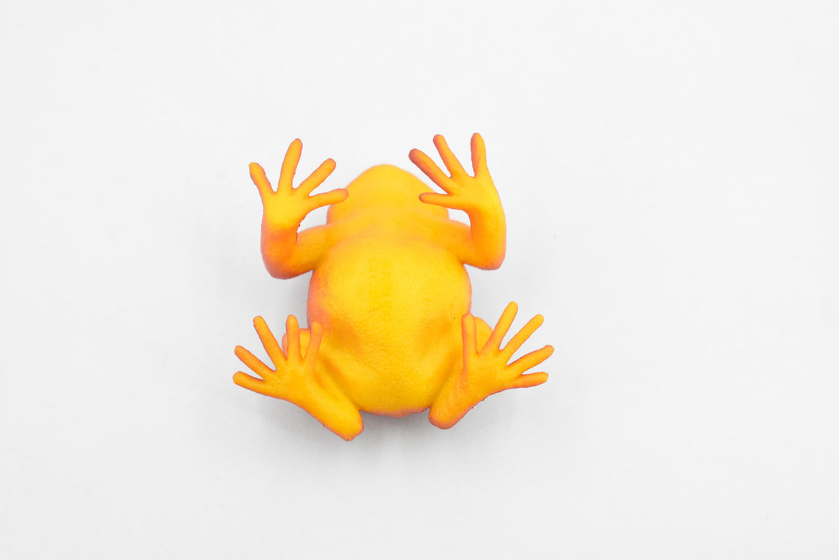 Tomato Frog, Hand Painted, Amphibian, Hard Rubber, Realistic Frog, Model, Replica, Toy, Kids, Educational, Gift,    2"    F4078 B54