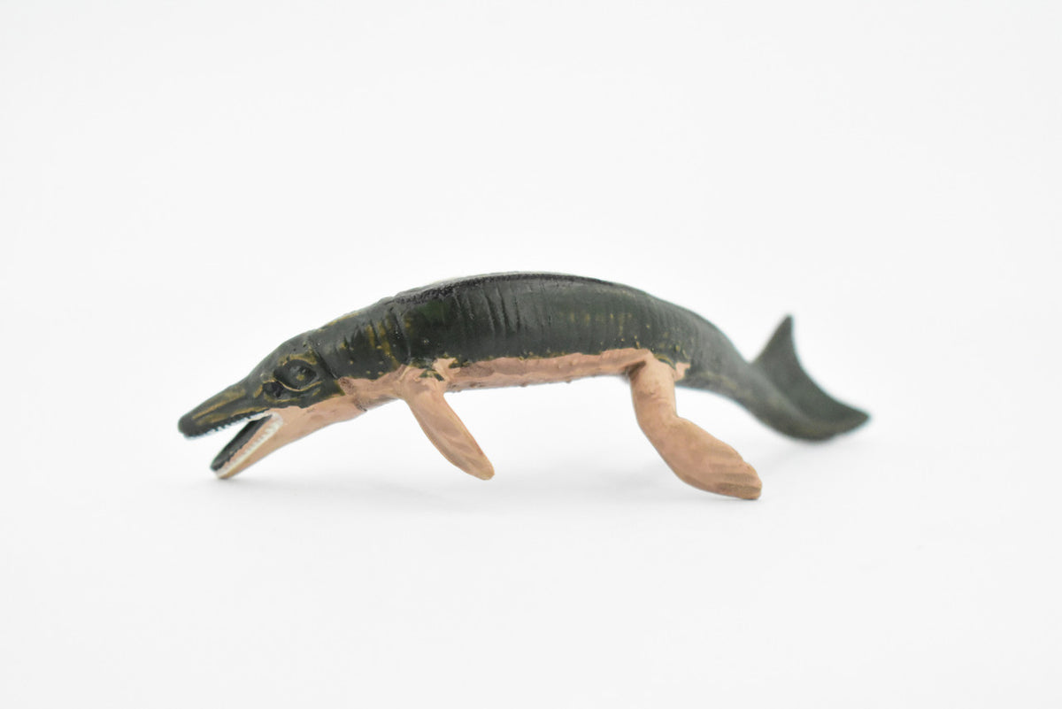 Crocodile, Metriorynchus Extinct Crocodile, Rubber Toy Animal, Realistic Figure, Model, Replica, Kids Educational Gift,   3 1/2"    F4168 B374