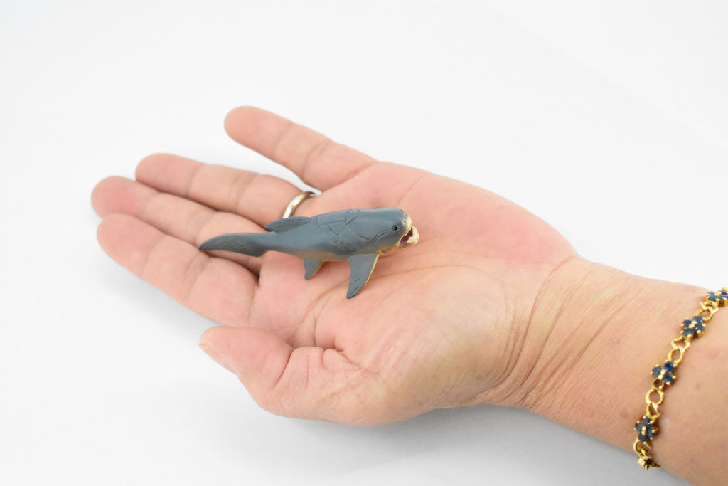 Dunkleosteus, Prehistoric Fish, Dinosaur, Very Nice Design, Rubber Fish, Hand Painted, Realistic Toy Figure, Diorama Model, Kids, Educational,  3 Inches.