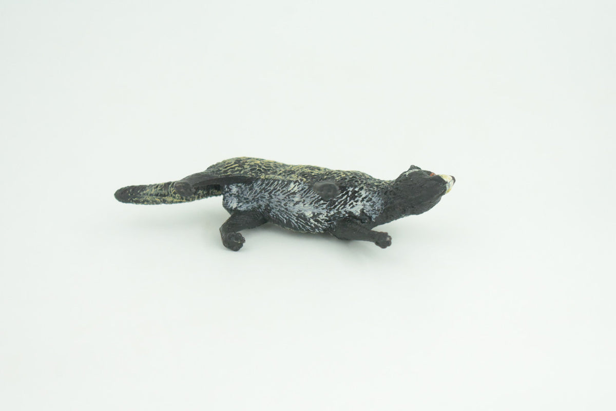 African Civet, Educational, Hand Painted, Museum Quality, Realistic, Rubber Animal, Realistic, Diorama, Toy, Kids, Gift,  3 Inches.  CH831 BB194