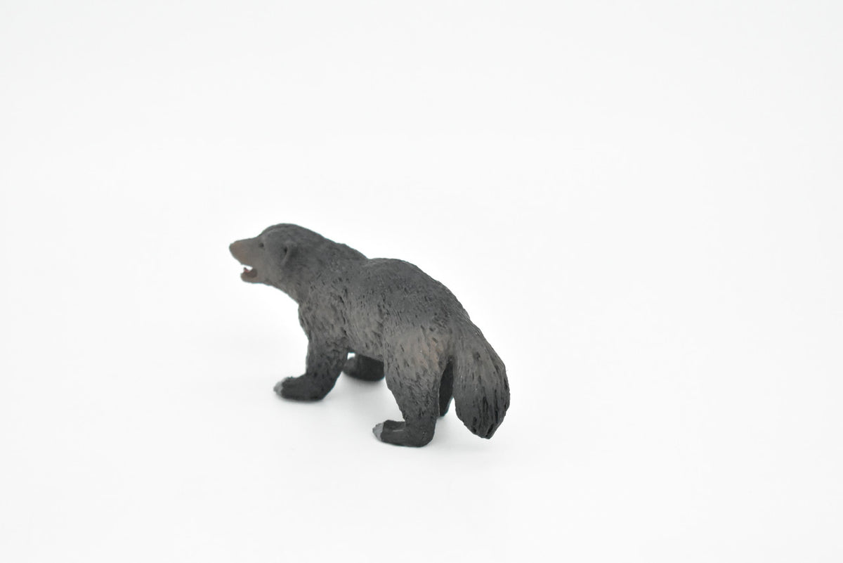Wolverine, Gulo gulo, Museum Quality, Educational, Rubber Animal, Hand Painted, Realistic, Diorama Model, Toy, Kids, Gift,  3 Inches.     CH093 BB85