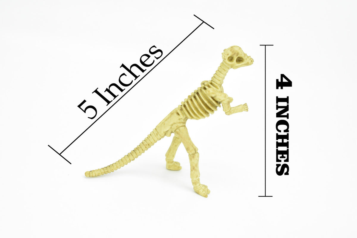 Micropachycephalosaurus Dinosaur, Skeleton, Very Nice Plastic Replica 5"   F3293 B66