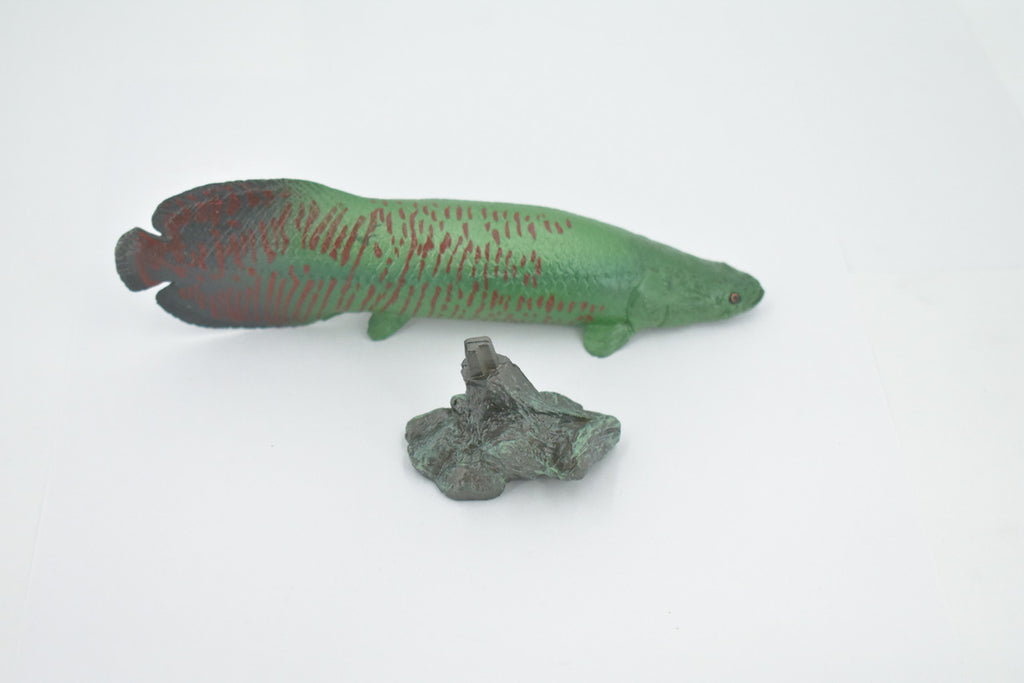 Arapaima, Pirarucu, or Paiche, Museum Quality, Hand Painted, Rubber Fish, Realistic Figure, Model, Replica, Toy, Kids, Educational, Gift,      7 "   CH501 BB155