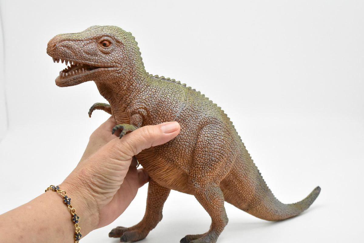 Tyrannosaurus Toy, T- Rex Dinosaur, Very Nice Plastic Replica, 14"  CWG16 BB38