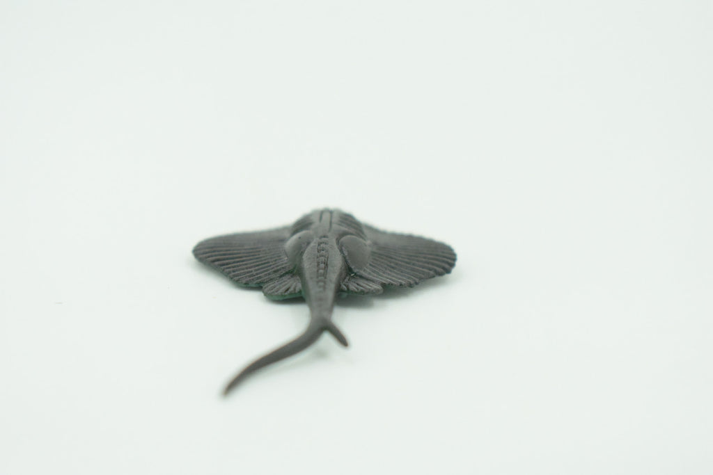 Stingray, Rubber Fish, Realistic Toy Figure, Model, Replica, Kids, Hand Painted, Educational, Gift,    2 3/4"    F596 B34