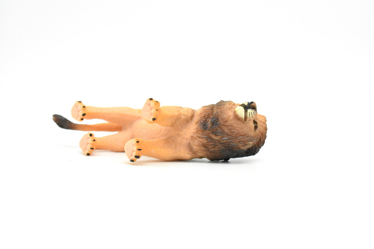 African Lion, Male, King of the African savanna, Museum Quality, Hand Painted, Plastic Animal, Educational, Realistic, Lifelike, Diorama Model, Toy, Kids, Gift,  4 1/2 Inches.    CWG191 BB44