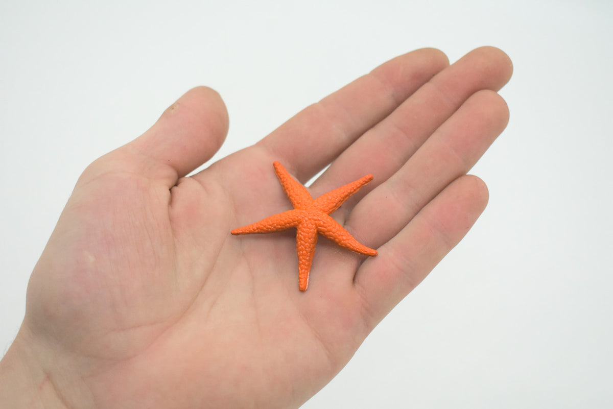 Starfish Toy, Orange, Sea Star, echinoderms,  Asteroidea, Rubber Design, Realistic Replica, Educational Toy, Life Like, Gift,       2"    