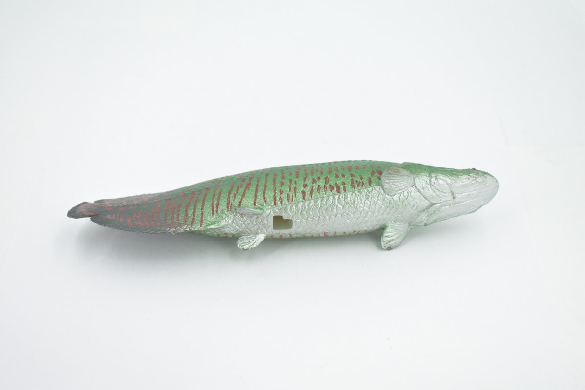 Arapaima, Pirarucu, or Paiche, Museum Quality, Hand Painted, Rubber Fish, Realistic Figure, Model, Replica, Toy, Kids, Educational, Gift,      7 "   CH501 BB155