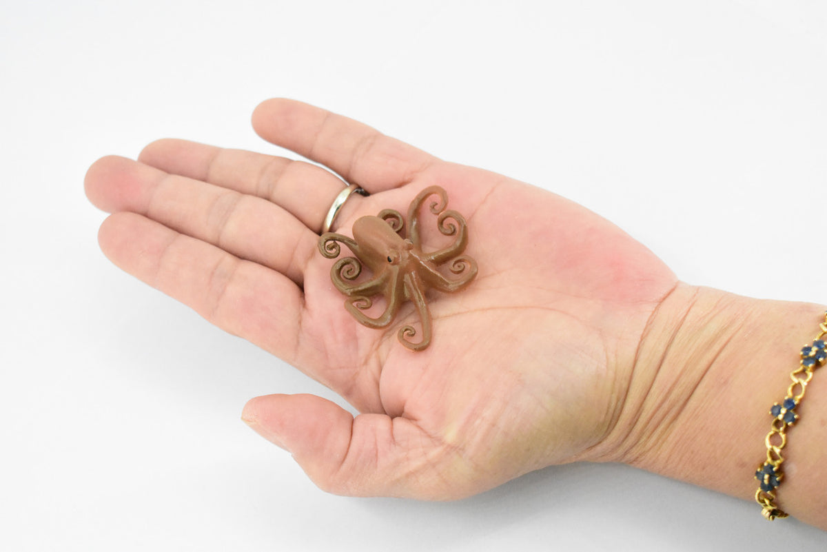 Octopus, Octopodes, Octopoda, Octopi, Museum Quality, Hand Painted, Realistic Toy Figure, Diorama Model, Replica, Kids, Educational, 2 Inches. 