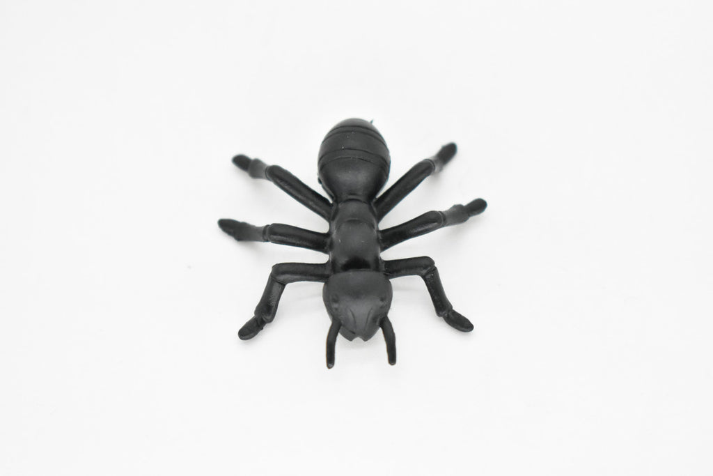 Ant, Black,  Very Nice Plastic Reproduction    1 1/2"   F6090 B381