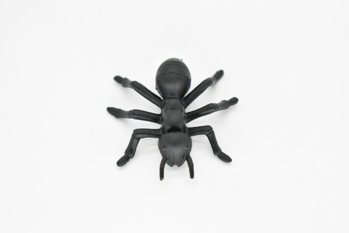 Ant, Black,  Very Nice Plastic Reproduction    1 1/2"   F6090 B381