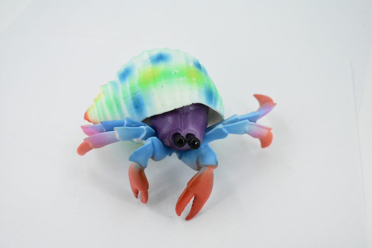 Hermit Crab. Crustaceans, Museum Quality Rubber Figure, Model, Educational, Animal, Hand Painted, Figurines, Gift,           6"             CH160 BB110