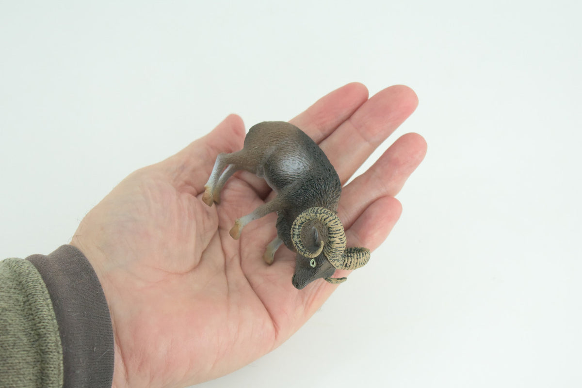 Wild Mountain Sheep, Argali, Museum Quality, Educational, Hand Painted, Rubber Animal, Realistic, Diorama, Toy, Kids, Gift, 3 1/2 Inches. CH828 BB194