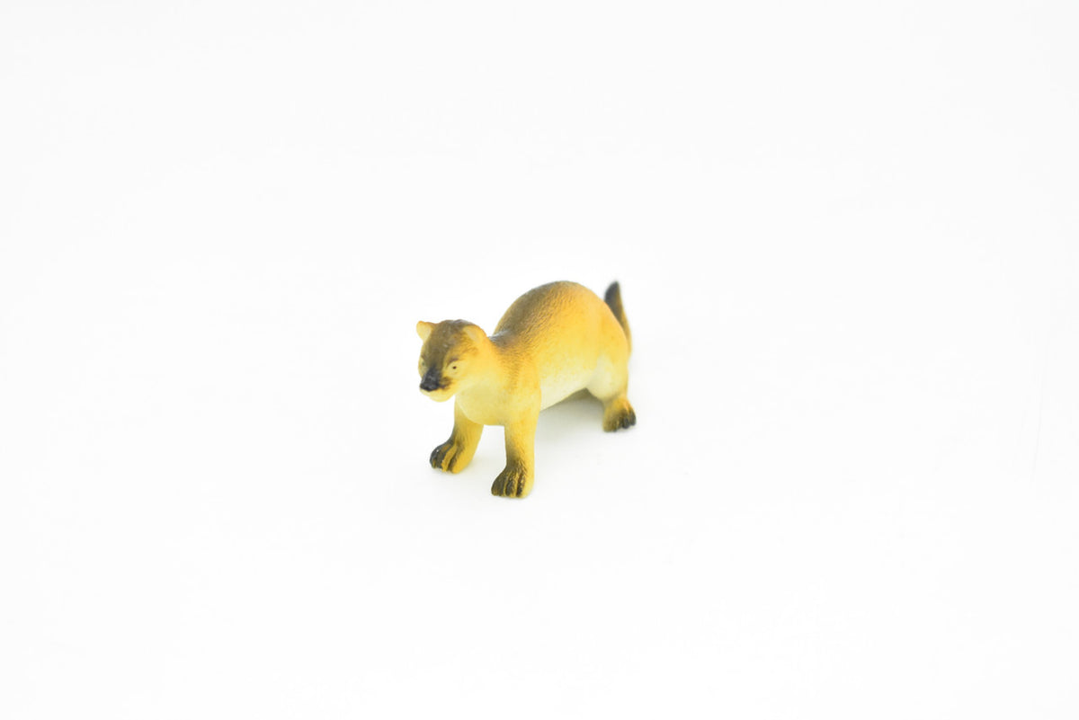Mongoose, ichneumon, cusimanse, Very Nice Plastic Design, African Animal Figure, Educational, Figure, Lifelike, Diorama Model, Figurine, Toy, Kids, Gift,    2 1/2 Inches.     CWG114 B237