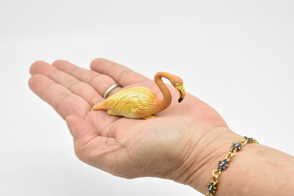 Flamingo, Greater Pink Flamingo, Hand Painted, Museum Quality, Realistic, Educational, Lifelike Figure, Diorama Model, Toy,  3 Inches  