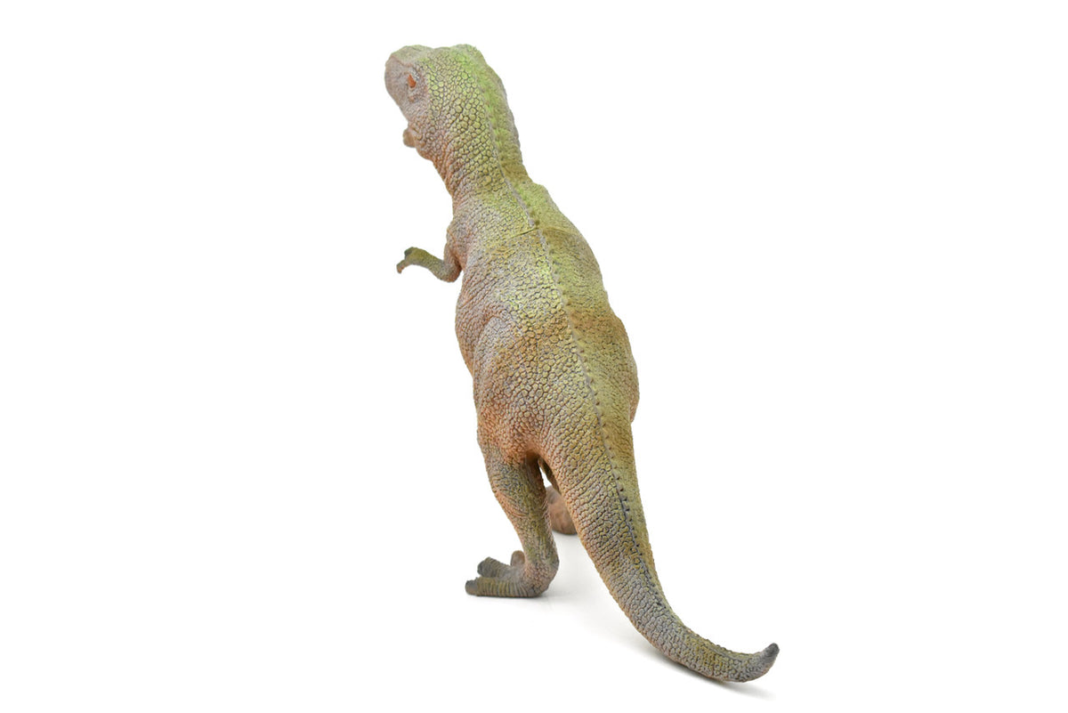Tyrannosaurus, T- Rex Dinosaur, "King of the Tyrant Lizards," Museum Quality, Realistic, Educational, Hand Painted, Lifelike Design, Diorama Model, Replica, Toy, Gift    14 Inches  CWG162 BB38