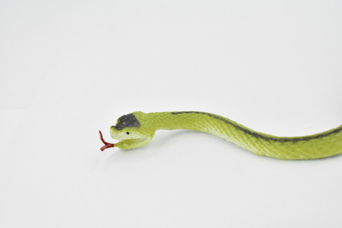 Green racer snake, Rubber Reptile, Educational, Realistic Hand Painted, Figure, Lifelike, Model, Figurine, Replica, Gift, Toy,     10 Inches     F3599 B363