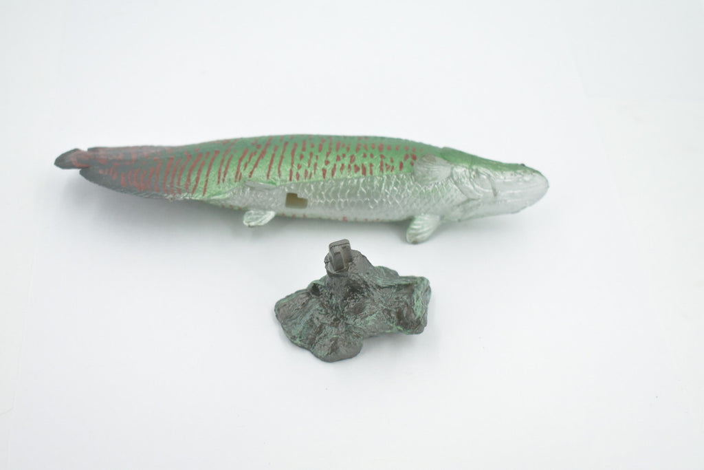 Arapaima, Pirarucu, or Paiche, Museum Quality, Hand Painted, Rubber Fish, Realistic Figure, Model, Replica, Toy, Kids, Educational, Gift,      7 "   CH501 BB155