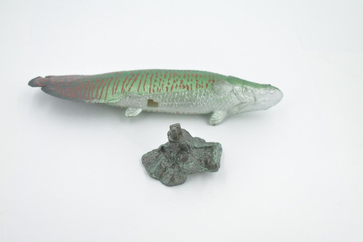 Arapaima, Pirarucu, or Paiche, Museum Quality, Hand Painted, Rubber Fish, Realistic Figure, Model, Replica, Toy, Kids, Educational, Gift,      7 "   CH501 BB155