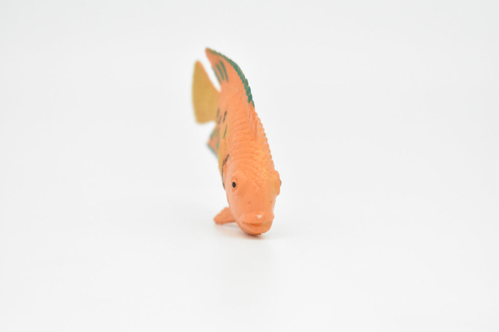 AngelFish, Flame, Tropical Fish, Pterophyllum, Ciclids, Hand Painted, Realistic, Plastic Fish Design, Saltwater, Educational, Figure, Lifelike, Diorama Model, Toy, Gift,  2 Inches.  CWG273 B46