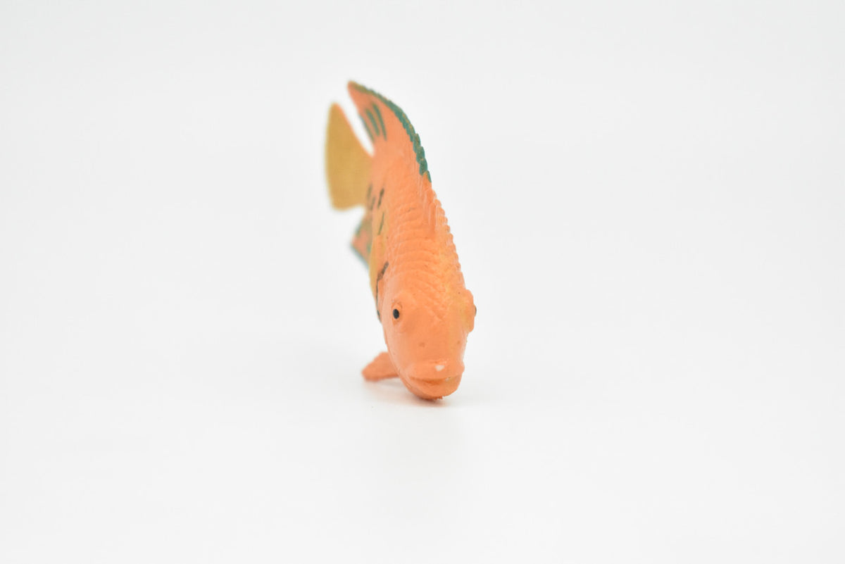 AngelFish, Flame, Tropical Fish, Pterophyllum, Ciclids, Hand Painted, Realistic, Plastic Fish Design, Saltwater, Educational, Figure, Lifelike, Diorama Model, Toy, Gift,  2 Inches.  CWG273 B46