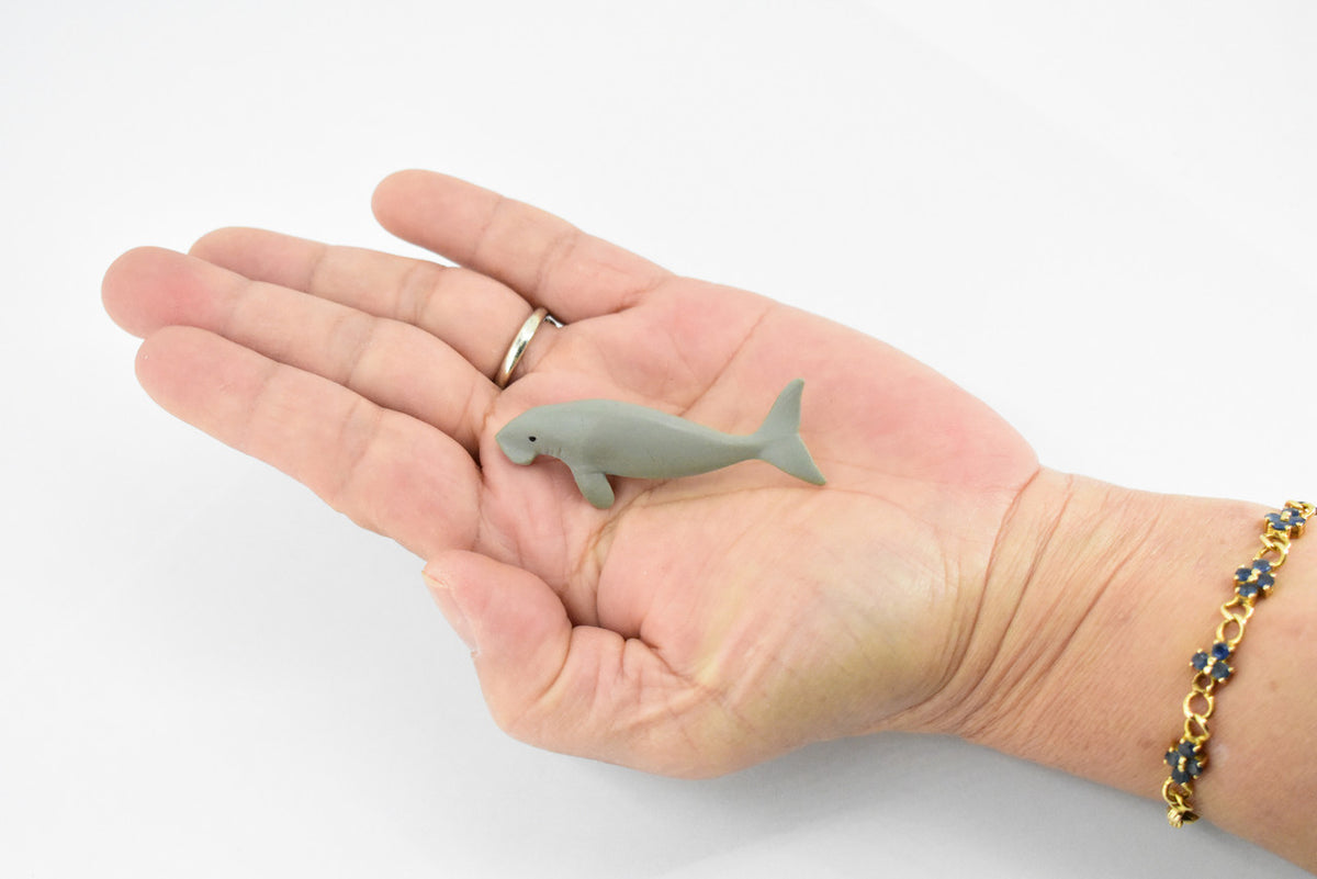 Manatee, Sea Cow, Ocean, Dugongs, Marine Mammal, Hand Painted, Rubber Animal, Realistic Toy Figure, Diorama Model, Kids, Educational, 2 Inches. 