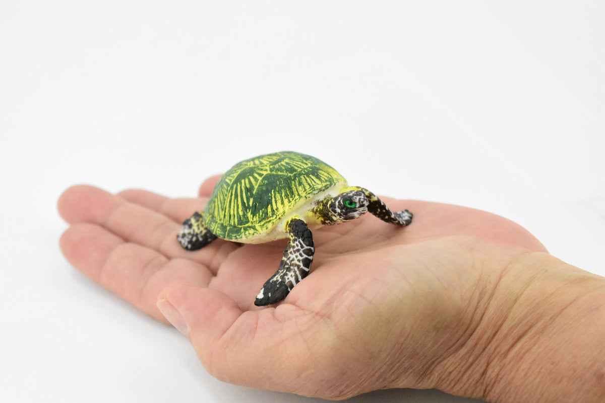 Turtle, Green Sea Turtle, Museum Quality, Hand Painted, Rubber  Reptile, Realistic Toy Figure, Model, Replica, Kids, Educational, Gift,    3"     CH249 BB123